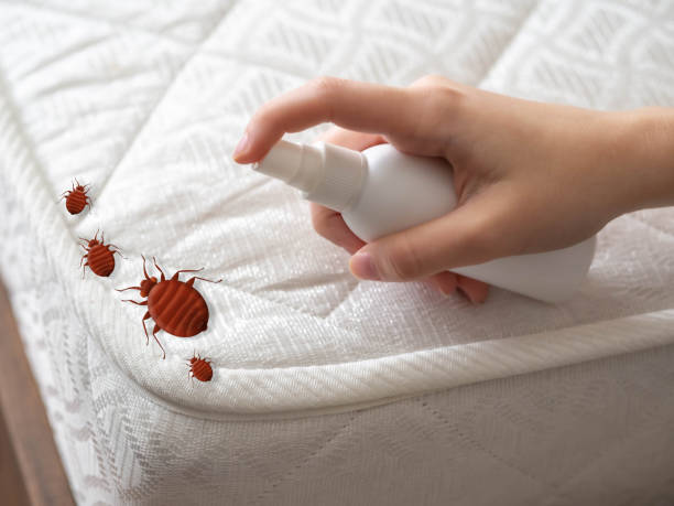 Best Exterminator Services  in Rockwell Place, TX